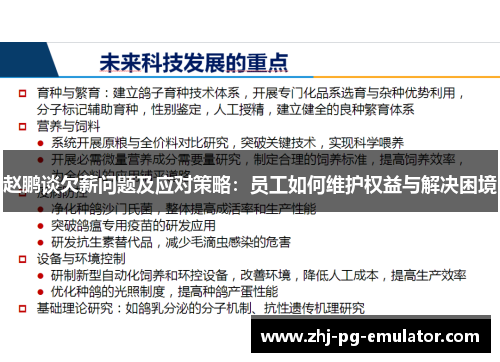 赵鹏谈欠薪问题及应对策略:员工如何维护权益与解决困境 赵鹏谈欠薪问题及应对策略:员工如何维护权益与解决困境