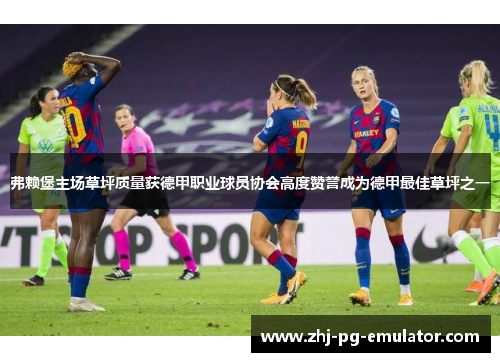 弗赖堡主场草坪质量获德甲职业球员协会高度赞誉成为德甲最佳草坪之一 弗赖堡主场草坪质量获德甲职业球员协会高度赞誉成为德甲最佳草坪之一